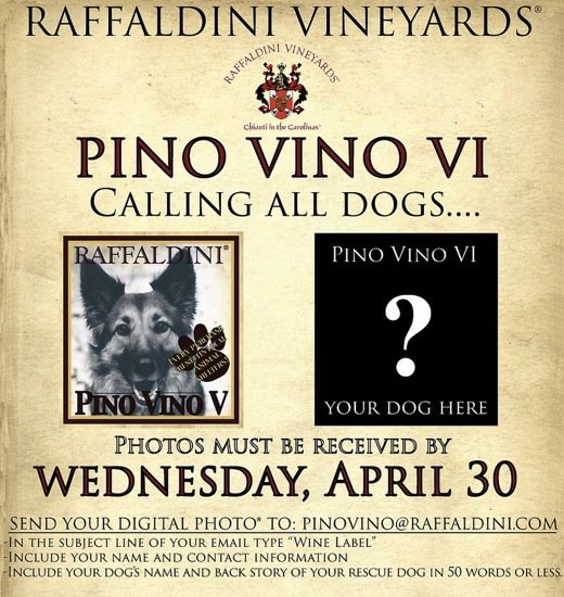 Raffadlini Rescue Dog Wine Label Contest