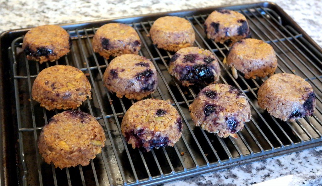 Blueberry Ginger Granola Muffins (gluten-free & dairy free!)