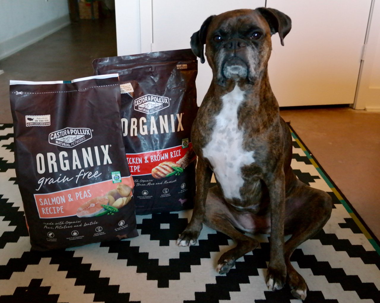 castor and pollux organix grain free dog food review