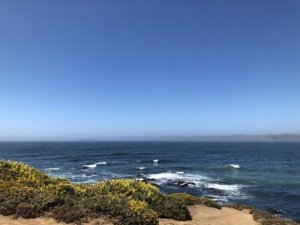 tomales-point