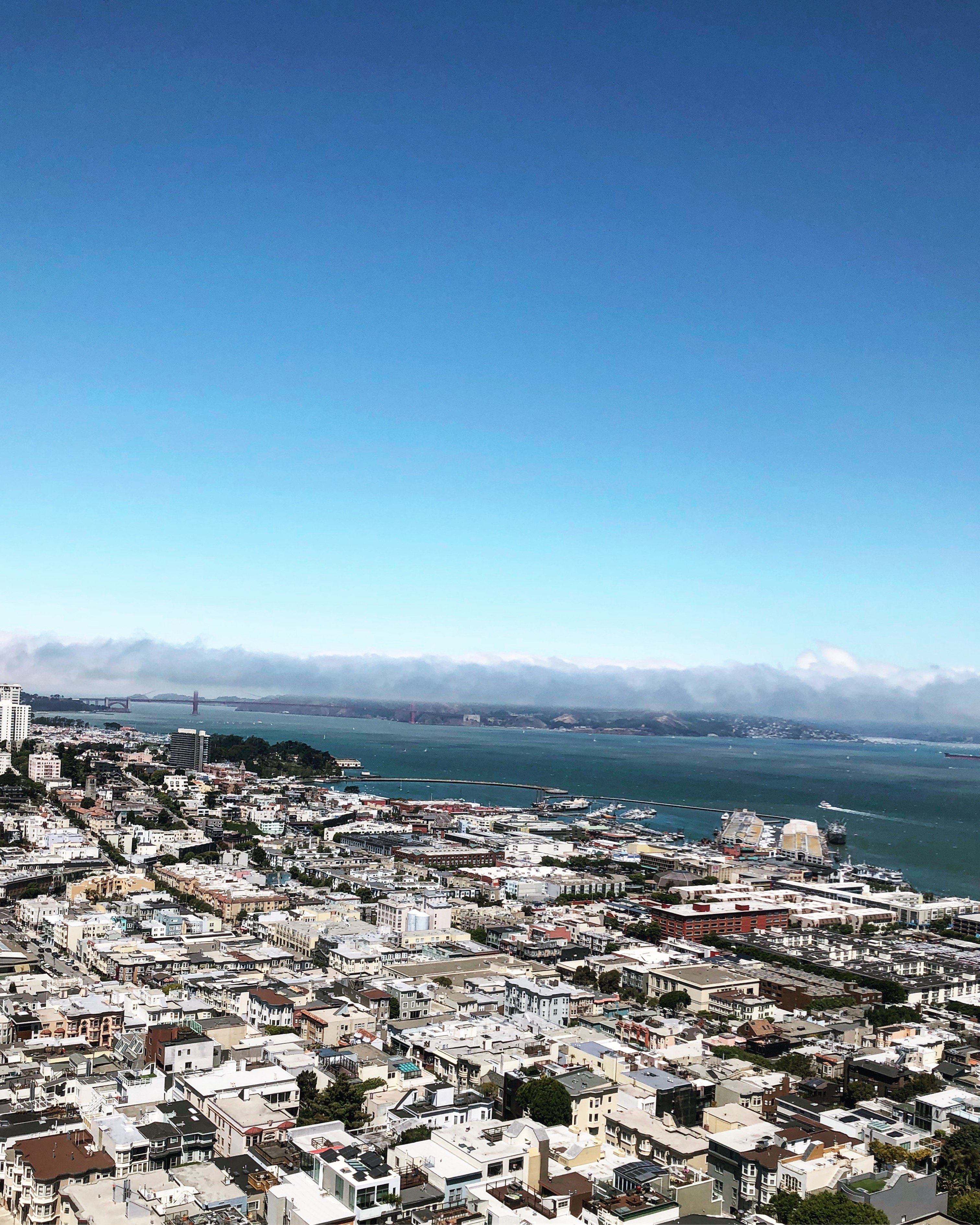 coit-tower-view