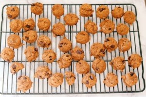 pumpkin chocolate chip cookies
