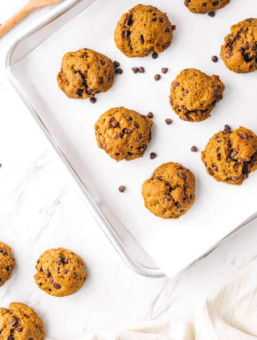 healthy pumpkin chocolate chip cookie recipe