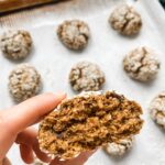 The Best Lactation Cookies Recipe