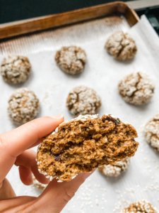 The Best Lactation Cookies Recipe