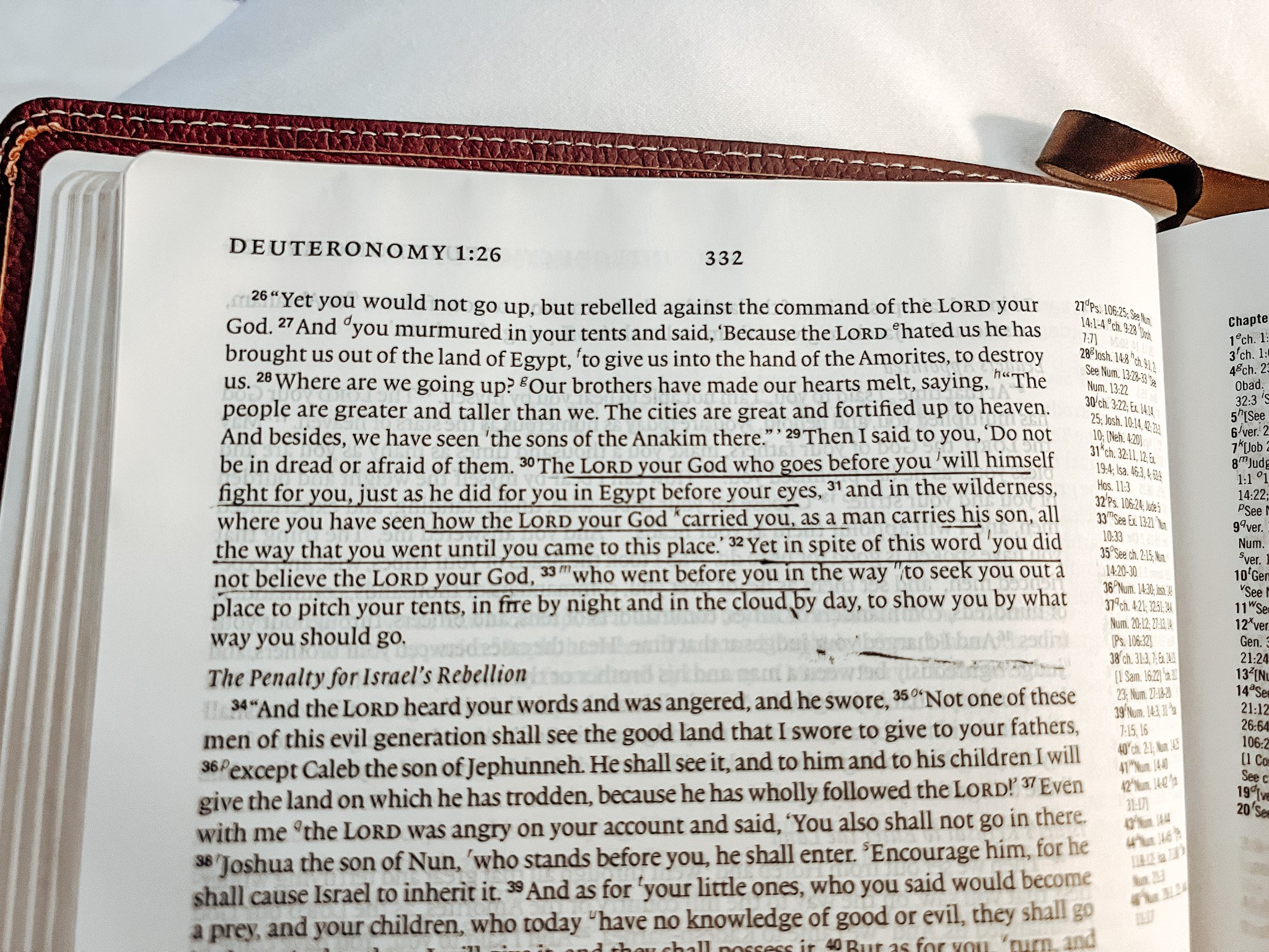 Deuteronomy Bible reading